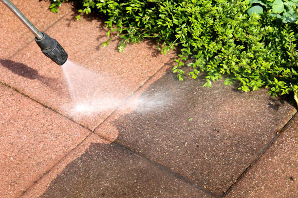 Trusted Temple, PA Pressure Washing Experts